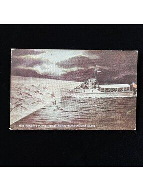 Vintage Postcard Flying Fish Catalina Island Night Fishing Excursion Boat CA Art